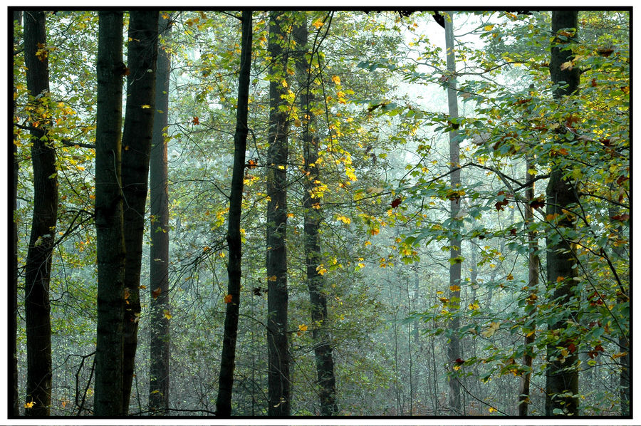 Herbst an der Wupper