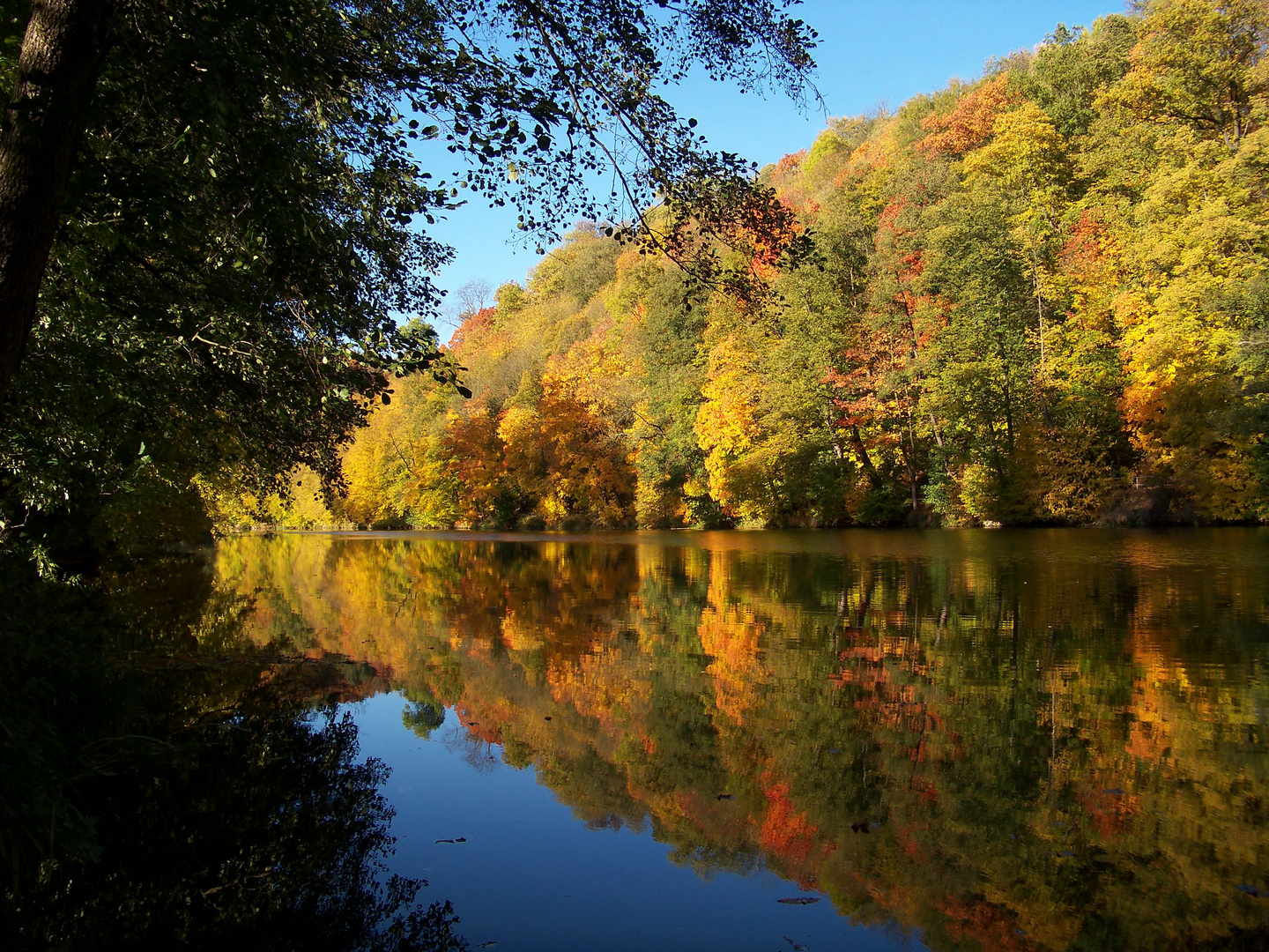 Herbst an der Zschopau