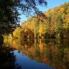 Herbst an der Zschopau