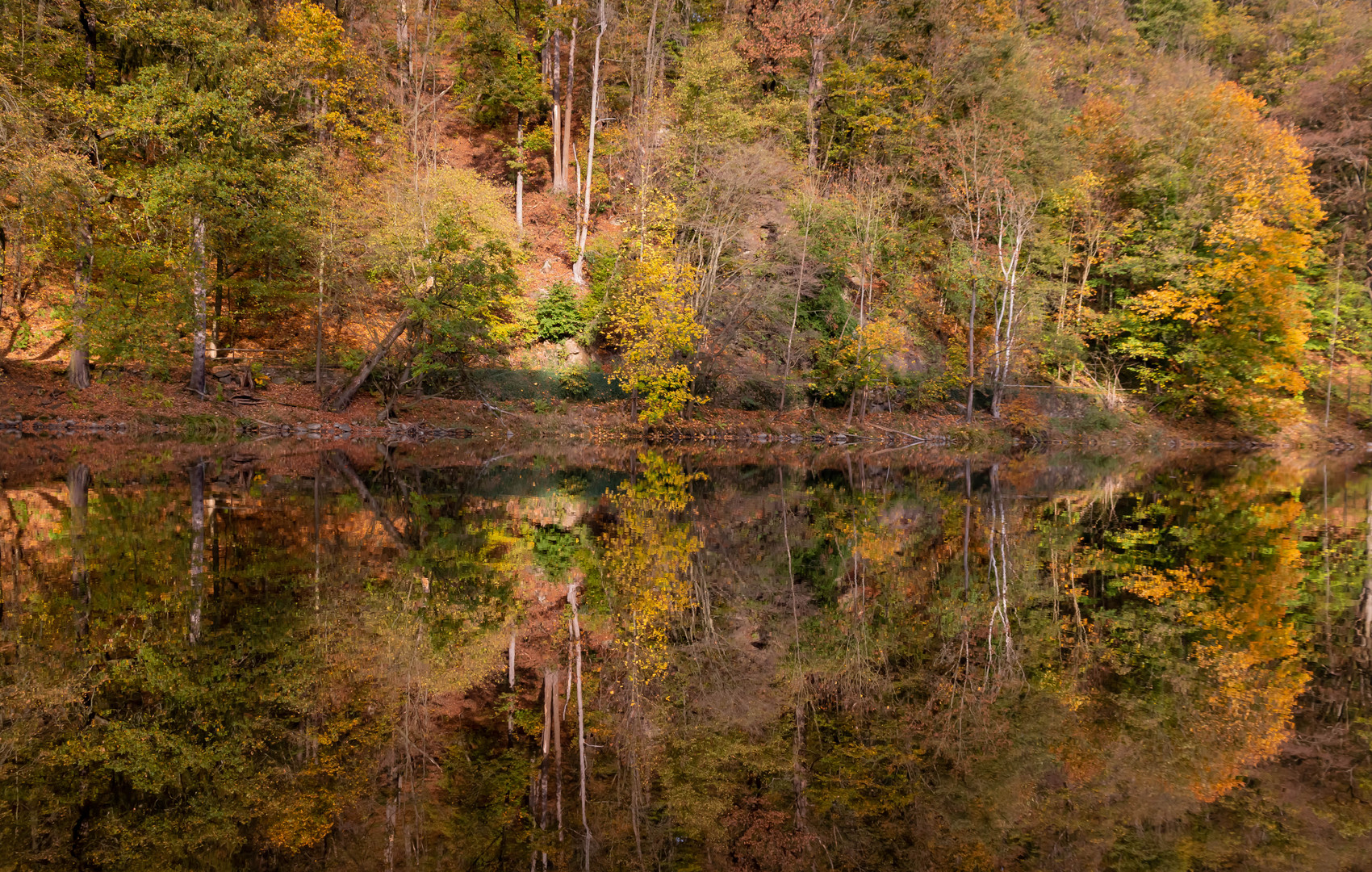 Herbst an der Zschopau