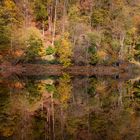 Herbst an der Zschopau