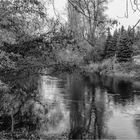 Herbst an der Zwickauer Mulde