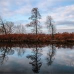 Herbst an der Zwickauer Mulde