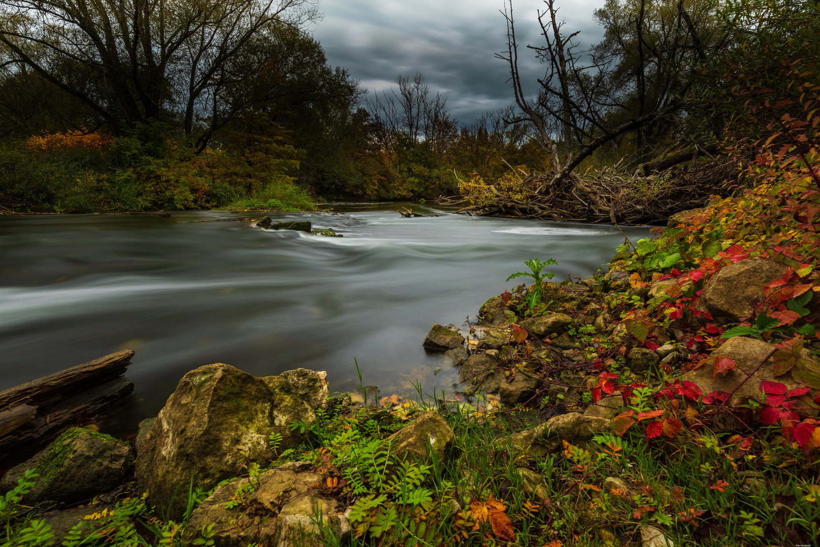 Herbst an die Nied