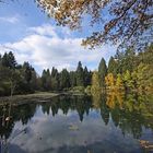 Herbst an einem kleinen Teich