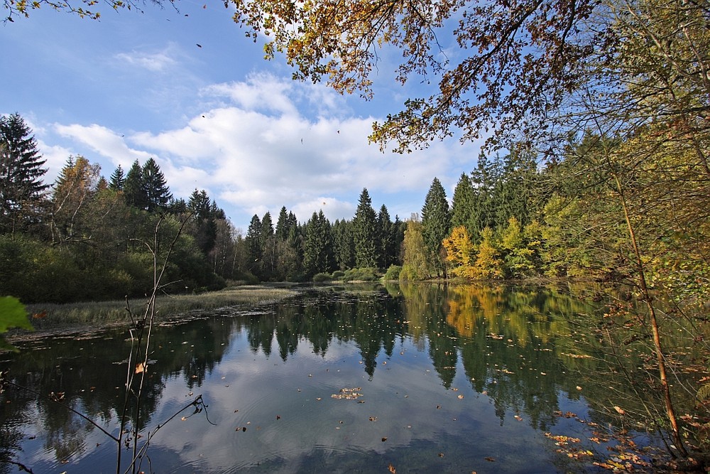 Herbst an einem kleinen Teich