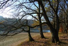 Herbst an einem Stausee