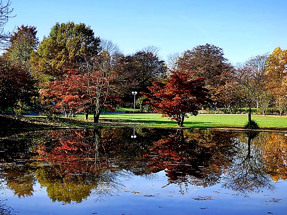 Herbst an einem Teich . . .