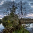 Herbst an Löcknitz und Wupatzsee