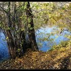 Herbst an Neckarufer