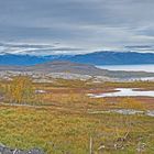 Herbst an Norwegens Küste