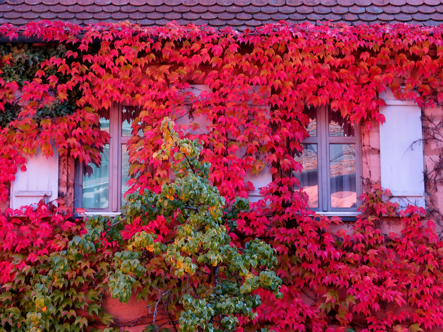 Herbst an Nürnberger Fassade..........