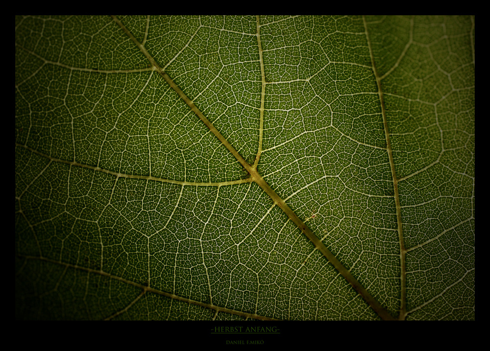 -HERBST ANFANG-