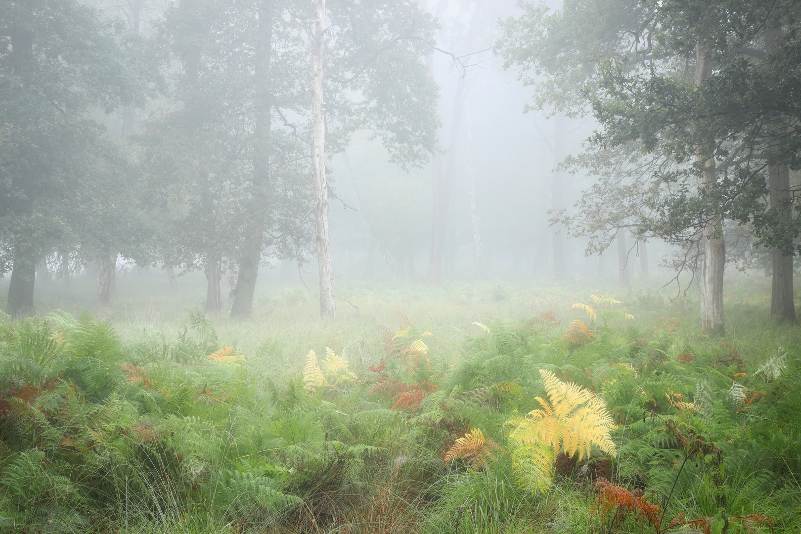 Herbst-Anfang