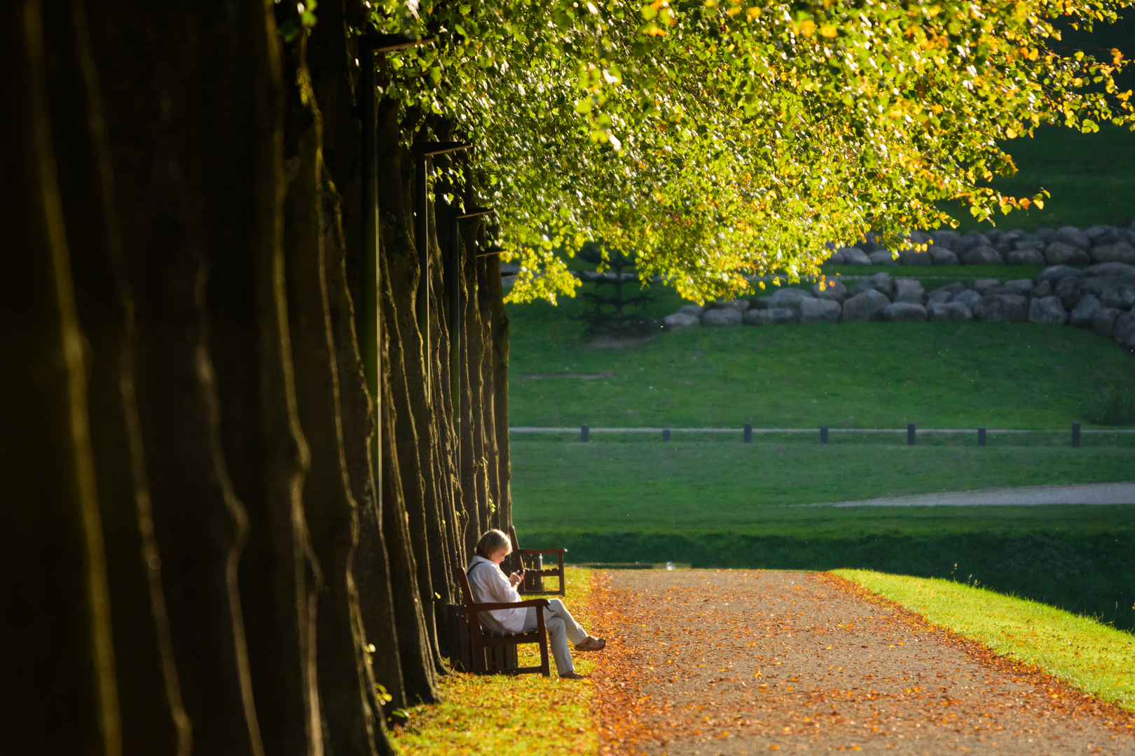 Herbst-App?