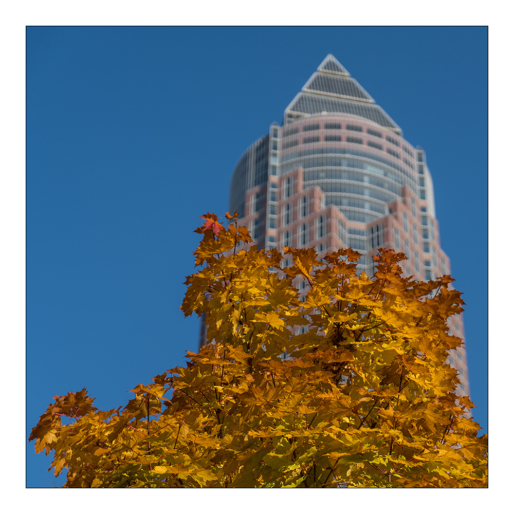 Herbst-Architektur