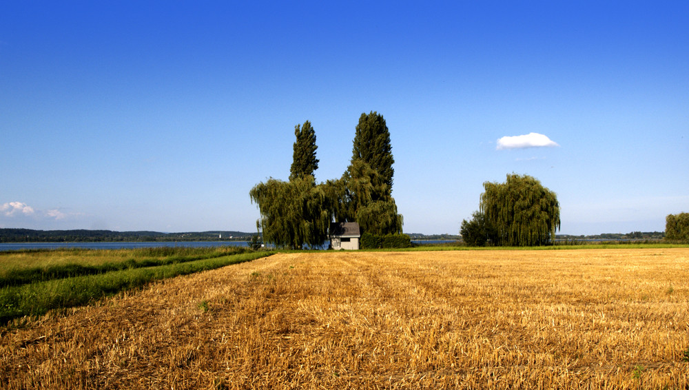 Herbst Archiv