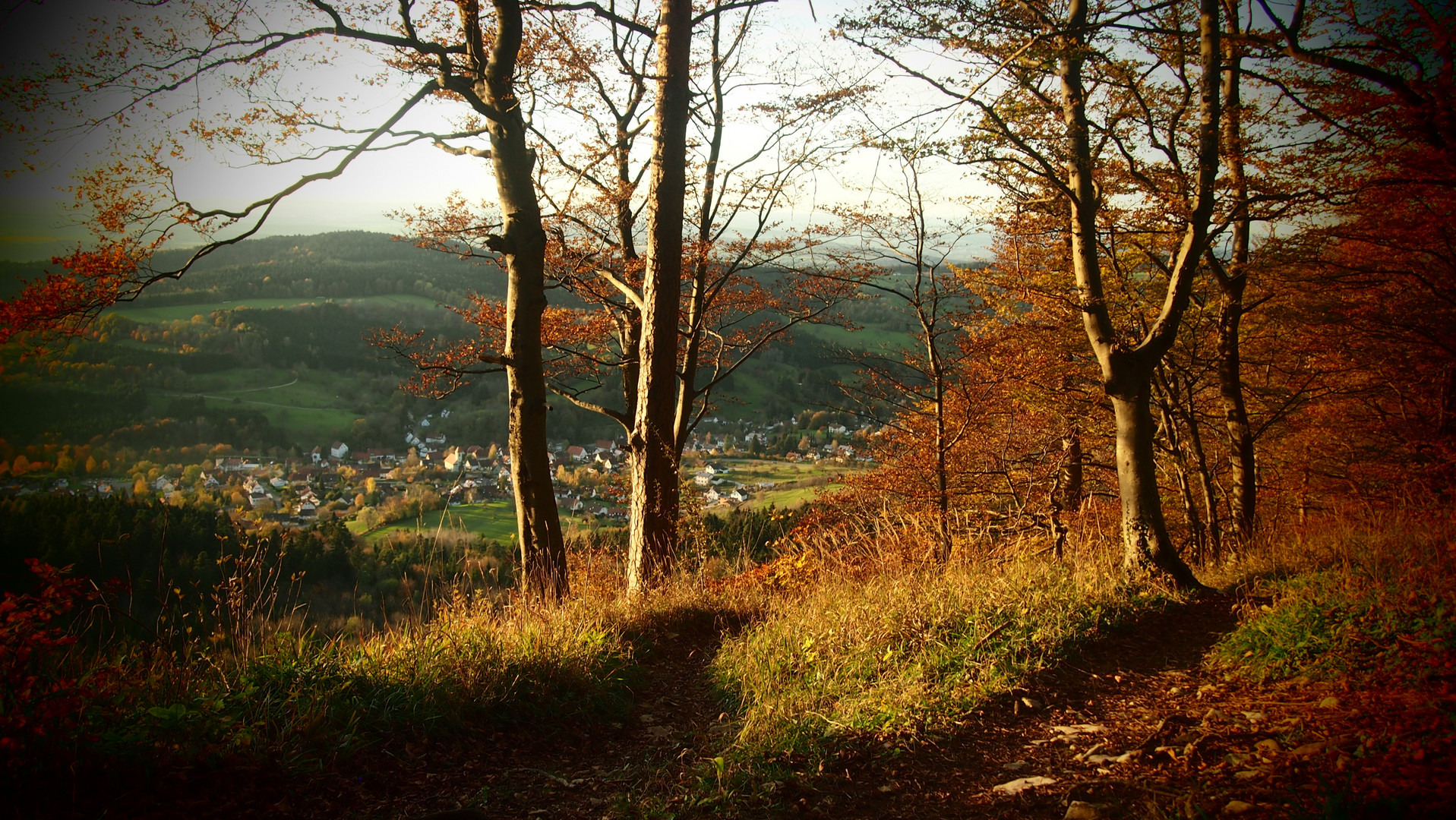 Herbst, Art-Effekt Loch Kamera mit Pen E-Pm1