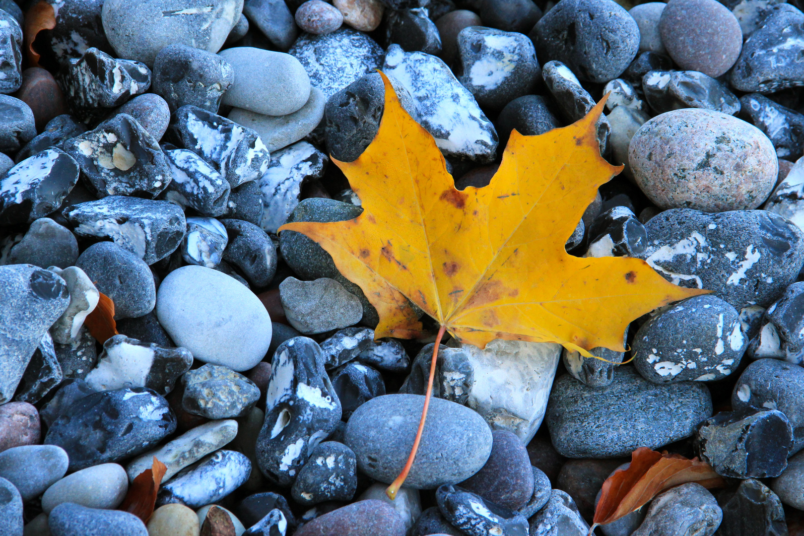 Herbst - auch am Strand