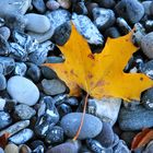 Herbst - auch am Strand