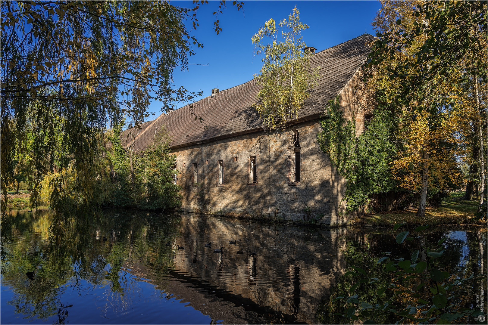 Herbst - auch auf dem Dach