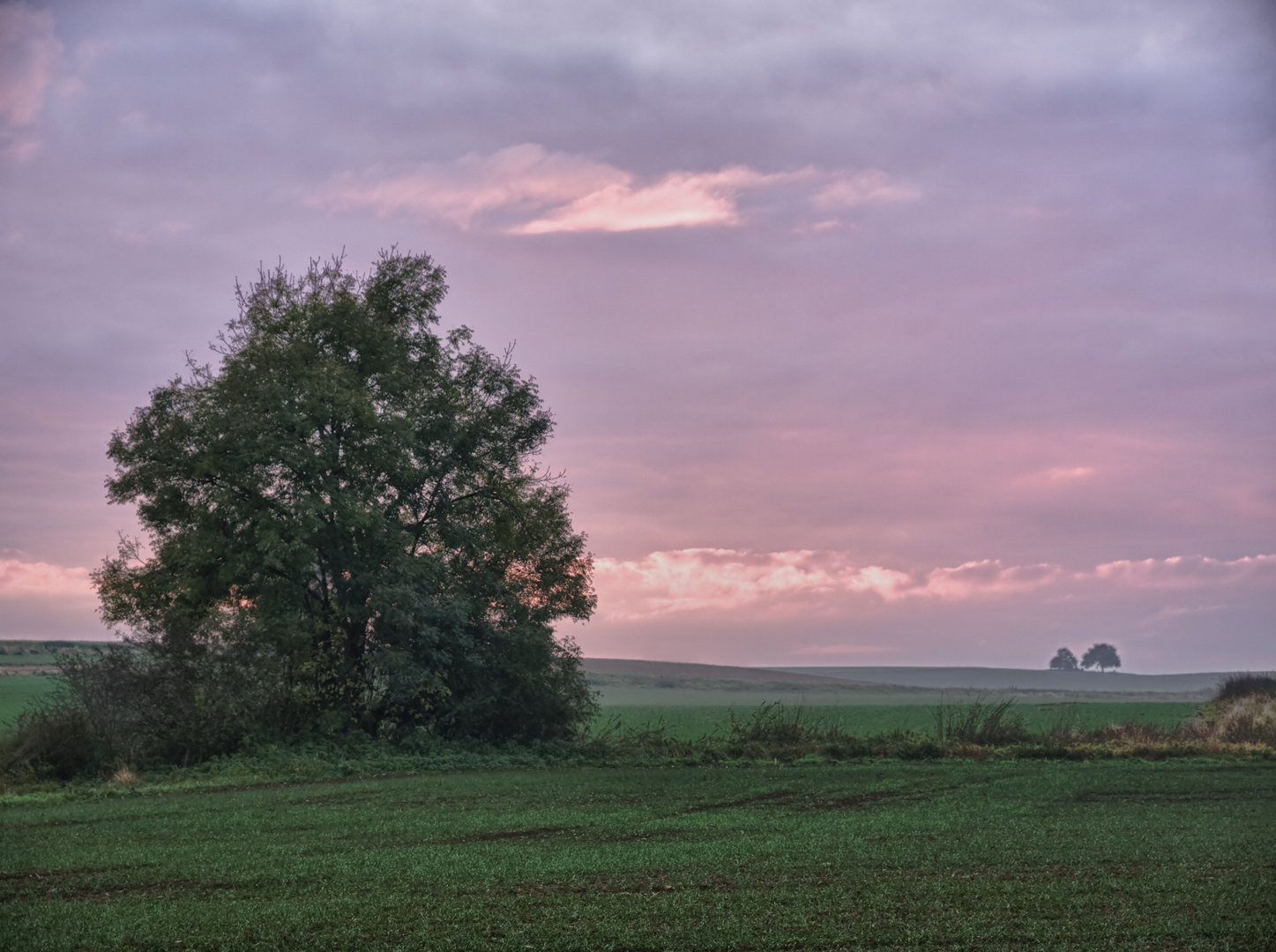 Herbst-Aue