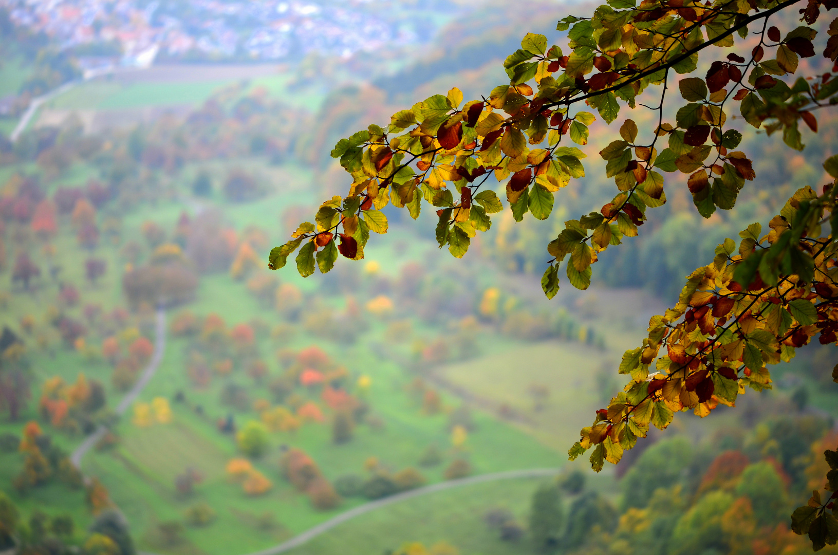 Herbst auf allen Ebenen