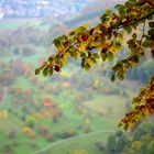 Herbst auf allen Ebenen