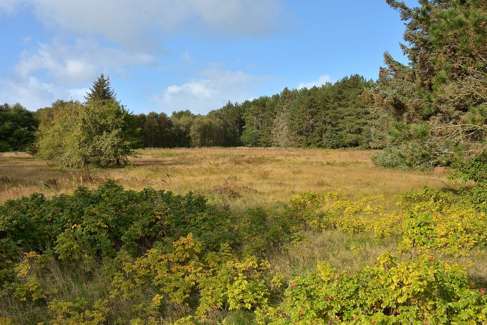 Herbst auf Amrum