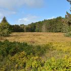 Herbst auf Amrum