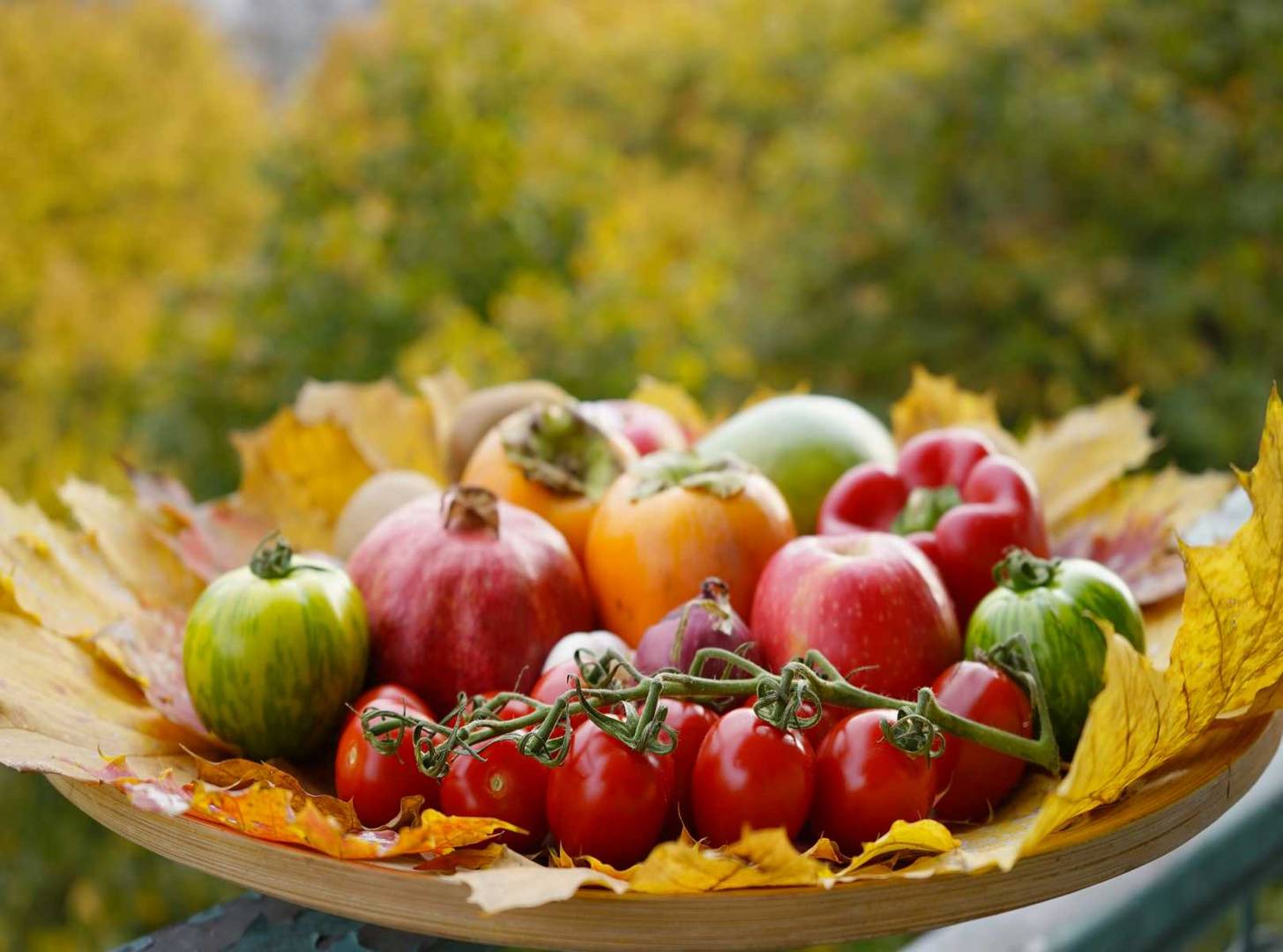 Herbst auf Balkon