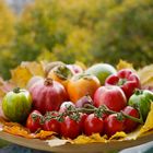 Herbst auf Balkon