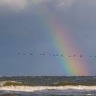 Herbst auf Borkum