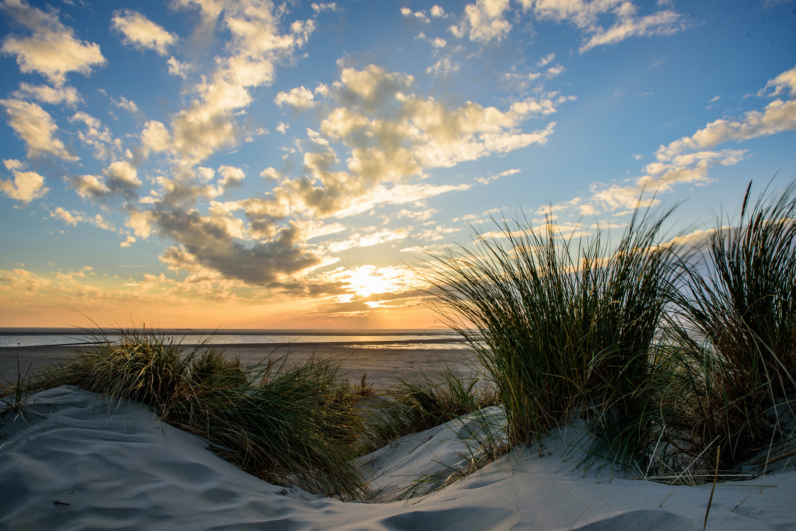 Herbst auf Borkum II