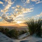 Herbst auf Borkum II