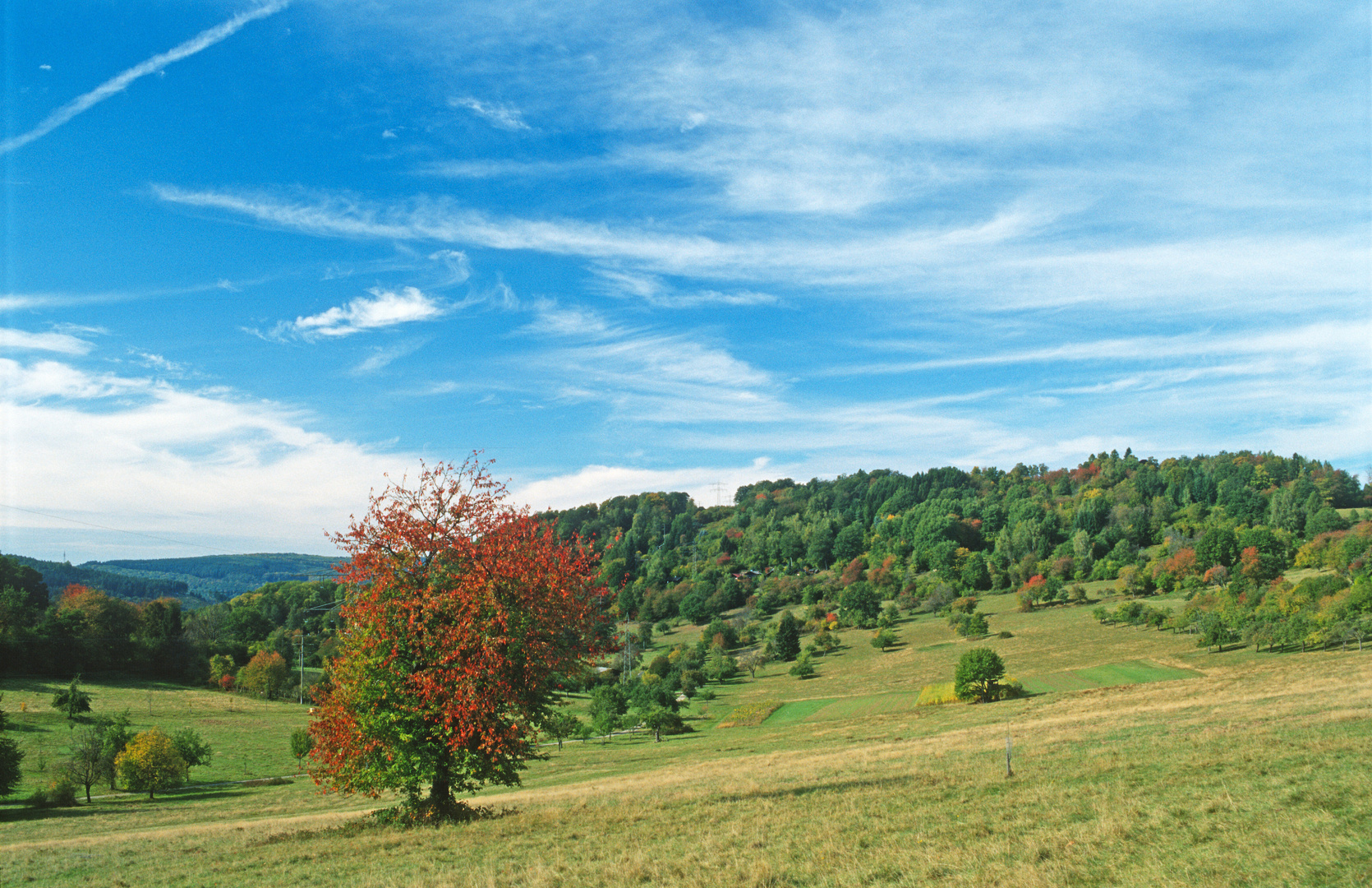 Herbst auf Breitenstein