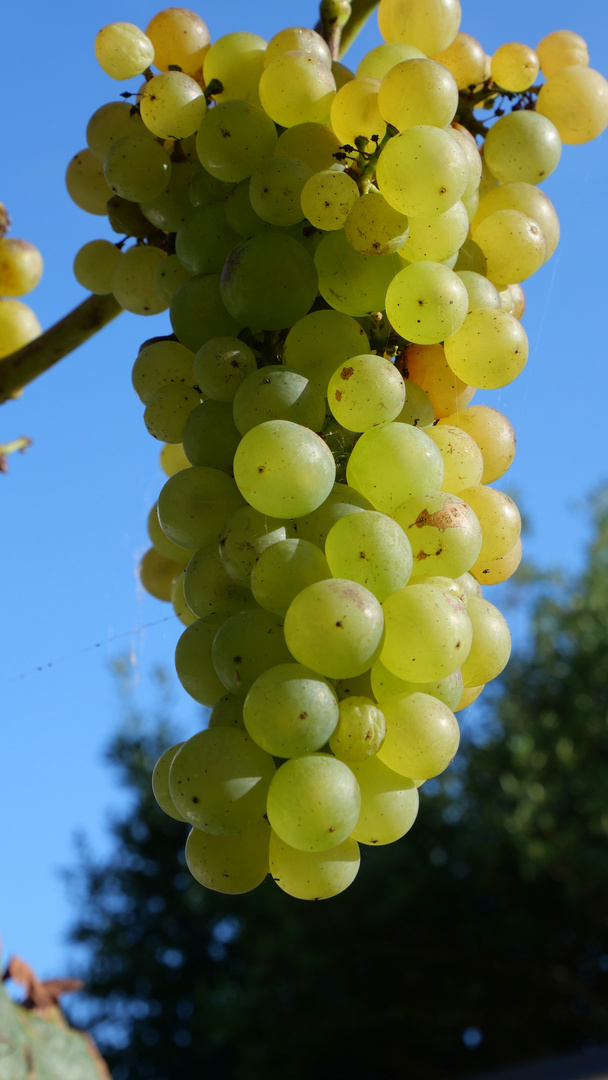 Herbst auf Cap Sizun