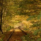 Herbst auf dem Abstellgleis. Der Winter steht schon in den Startlöchern. 