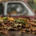 Herbst auf dem Autofriedhof