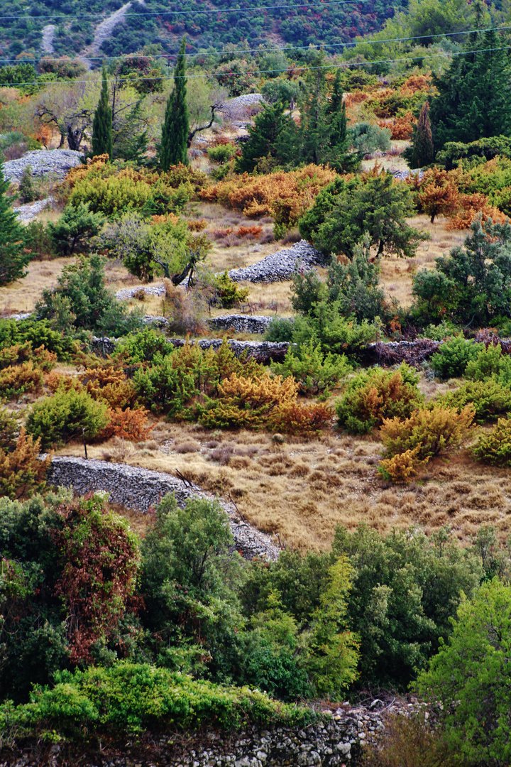 Herbst auf dem Balkan