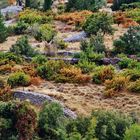 Herbst auf dem Balkan