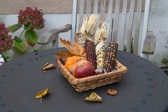 Herbst auf dem Balkon 2