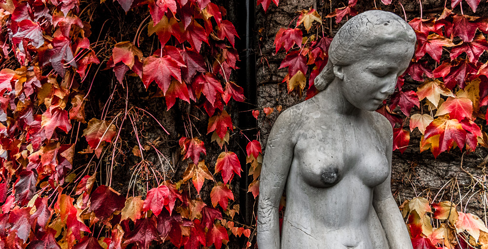 Herbst auf dem Bergfried 2