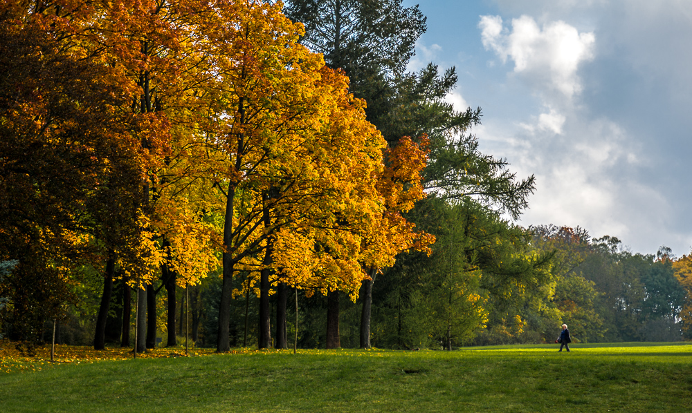 Herbst auf dem Bergfried