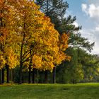 Herbst auf dem Bergfried