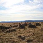 Herbst auf dem Brocken