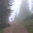 Herbst auf dem Broglesweg