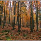 Herbst auf dem Buchberg