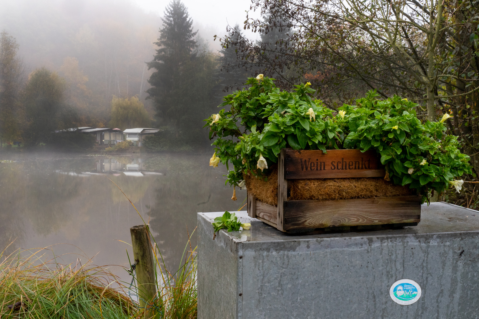 Herbst auf dem Campingplatz