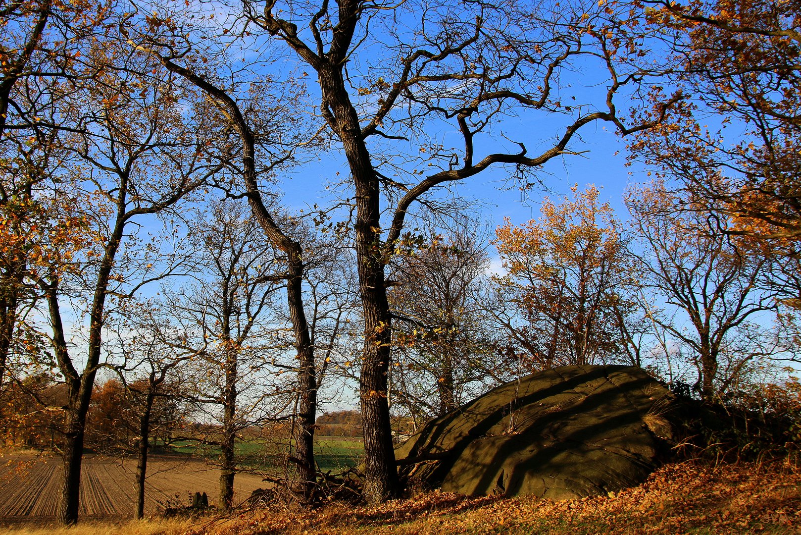 Herbst auf dem "Dritten Steinhügel"